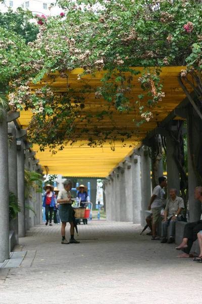 7月2004風景桐チャウストリートパーク — ストック写真