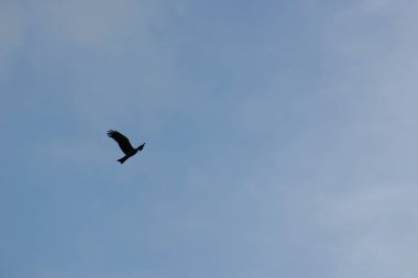 Hong Kong 'da bulutlarla mavi gökyüzünde uçuyor.