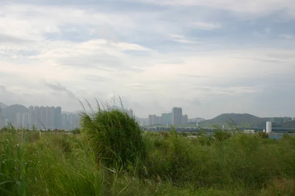 Terreno Baldío Polígono Industrial Tseung Kwan —  Fotos de Stock