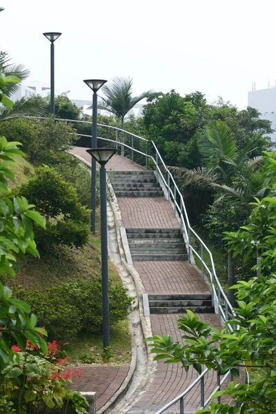 Escalera Natural Del Sendero Aire Libre —  Fotos de Stock