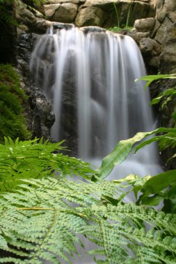 Hong Kong Park Yeşil Evindeki Şelale