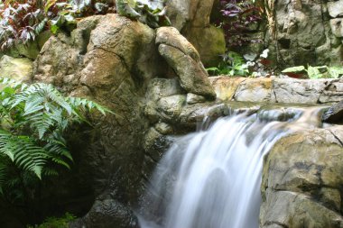 Hong Kong Park Yeşil Evindeki Şelale