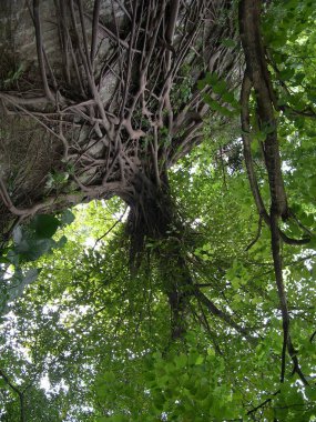 2 Ekim 2004 Yuexiu Tepesi manzarası, guangzhou, Çin