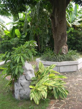 1 Ekim 2004 Fangcun Wong Tai Sin Tapınağındaki bahçe