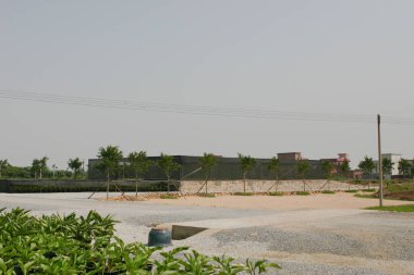 Bahçe işleri için bitkilerin ve ağaçların fidanlığı..