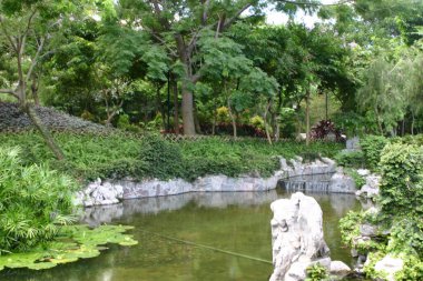 29 Haziran 2004 'te Kowloon Duvarlı Şehir Parkı Hong Kong' daki gölet