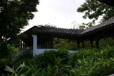 Kowloon 'daki Çin verandası şehir parkını duvarlarla kaplamıştı.