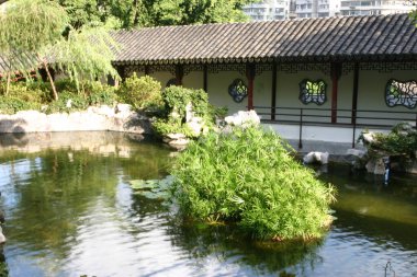 Çin Bahçesi, Kowloon Duvarlı Şehir Parkı, Hong Kong.