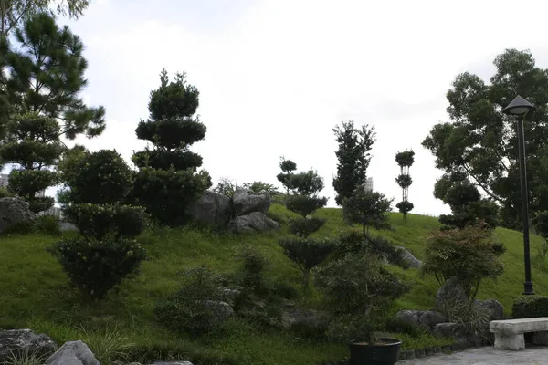 Junio 2004 Jardín Parque Amurallado Kowloon Ciudad — Foto de Stock