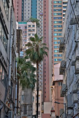 25 Ekim 2021 Mong kok Bölgesi, Hong Kong 'daki ofis ve konut binası.