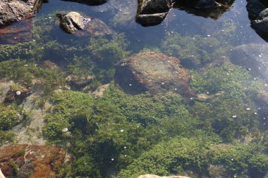 Kayalık bir sahil manzarası, sai kung, hk