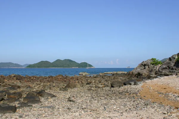 Hebra Plata Sai Kung Hong Kon —  Fotos de Stock