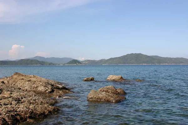 Hebra Plata Sai Kung Hong Kon —  Fotos de Stock