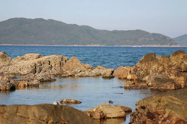 Hebra Plata Sai Kung Hong Kon —  Fotos de Stock