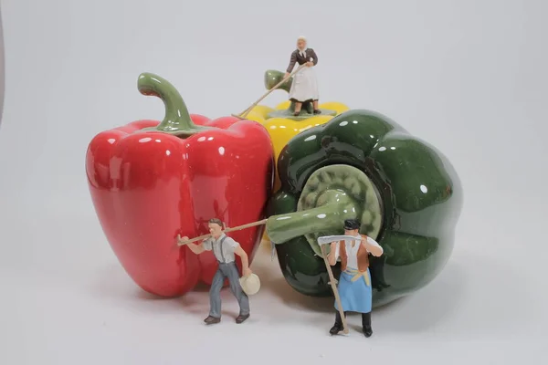 Mini Farmers Harvesting His Bell Peppers — Stock Photo, Image