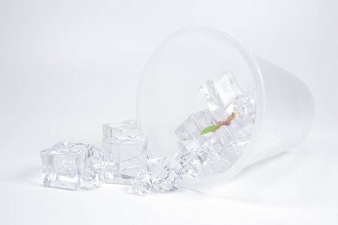 Buzun üzerinde genç bir sörfçü figürü