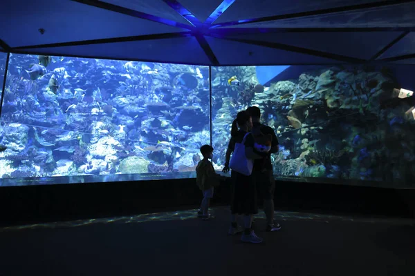 Kasım 2021 Ocean Park Hong Kong Büyük Akvaryum — Stok fotoğraf