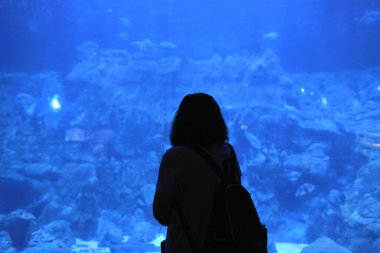 18 Kasım 2021 İnsanlar büyük akvaryum, okyanus parkı Hong Kong 'u izliyor.