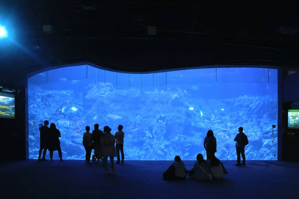 Nov 2021 Het Grand Aquarium Ocean Park Aqua City — Stockfoto