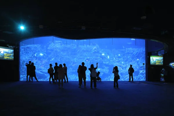 Nov 2021 Emberek Néz Nagy Akvárium Óceán Park Hong Kong — Stock Fotó