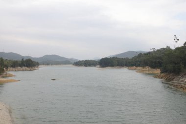 17 Aralık 2021. Tai Lam Chung rezervuarı Hong Kong 'da.