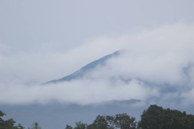 Dağlardaki sisli orman. Ağaçlar ve sisli bir manzara. Yağmurdan sonra manzara.