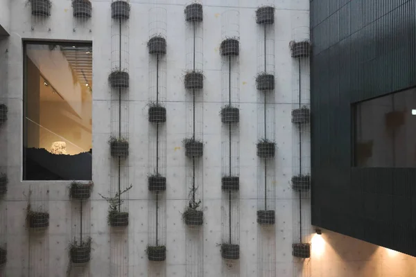 Prosince 2021 Náměstí Grand Stair Muzeu Kulturní Čtvrti West Kowloon — Stock fotografie