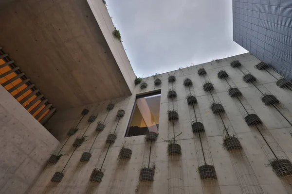 Dec 2021 Plants Walls Museum West Kowloon Cultural District — Fotografia de Stock