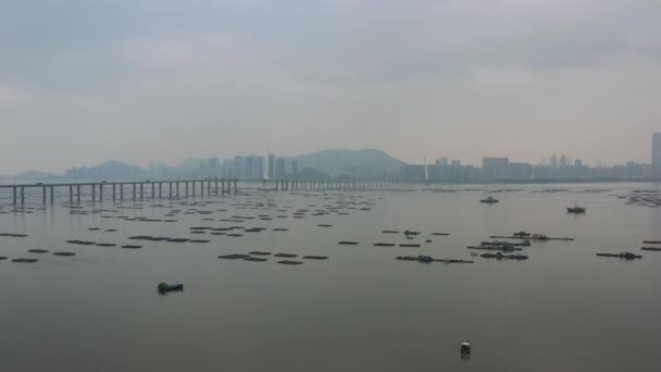 Dec 2021 Shenzhen Bay Yuen Long Lau Fau Shan Hong — Stock Video