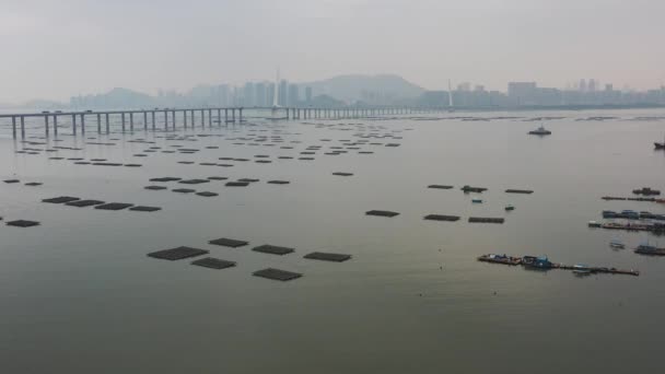 Aralık 2021 Shenzhen Körfezi Yuen Long Lau Fau Shan Hong — Stok video