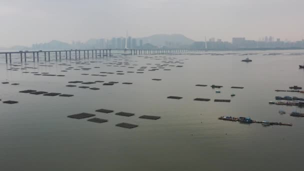 2021 Dec Shenzhen Bay Yuen Long Lau Fau Shan Hong — Stock videók