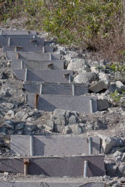 Yeşil bir ormanda yürüyüş parkuru, Razor Hill. hk