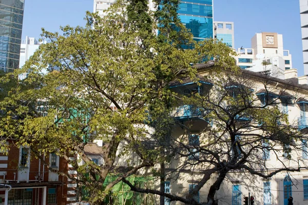 Maart 2008 Voormalig Centraal Politiebureau Compound Hongkong — Stockfoto