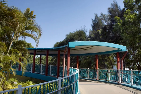 1 Mart 2008, Hong Kong şehrinde bir yaya köprüsü.