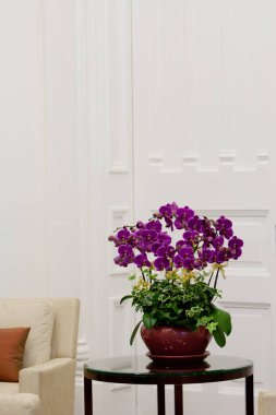 13 Ocak 2008 Ofis binasının iç mekanı