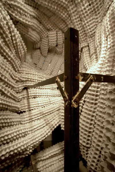 Dec 2008 Egg Protective Shell Installation Art — Stock Fotó