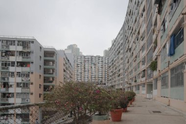 10 Jan 2022 The Garden Estate at Ngau Tau Kok, Kwun tong