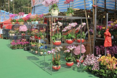 Ay yeni yıl Hong Kong'da Fuar