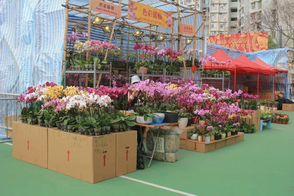 Feira Ano Novo Lunar Hong Kong — Fotografia de Stock