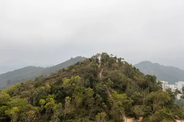 Jan 2022 Black Hill Kwun Tong Hong Kong —  Fotos de Stock