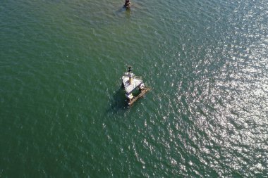 4 Şubat 2022. Bir grup Akbalıkçıl Sha Tin Hoi yakınlarındaki bir teknenin peşinden uçuyor.