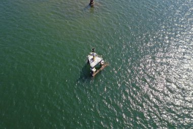 4 Şubat 2022. Bir grup Akbalıkçıl Sha Tin Hoi yakınlarındaki bir teknenin peşinden uçuyor.