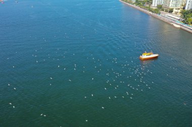 4 Şubat 2022 Sha Tin Hoi, Hong Kong manzarası