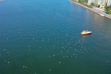 4 Şubat 2022 Sha Tin Hoi, Hong Kong manzarası