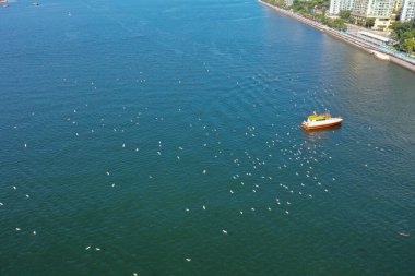 4 Şubat 2022 Sha Tin Hoi, Hong Kong manzarası