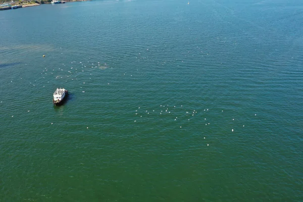 Feb 2022 Een Groep Witte Zilverreiger Vliegen Een Boot Buurt — Stockfoto