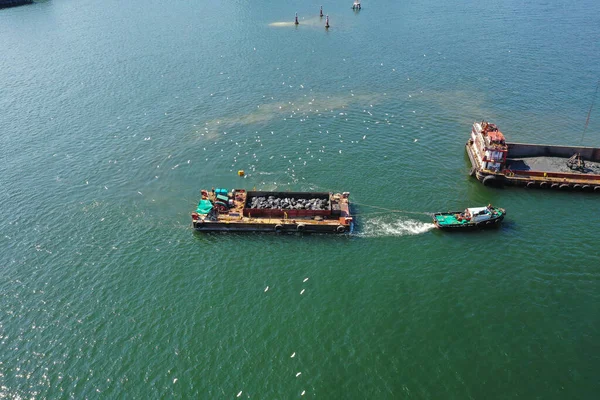 Feb 2022 Grupo Garza Blanca Vuela Después Barco Cerca Sha — Foto de Stock