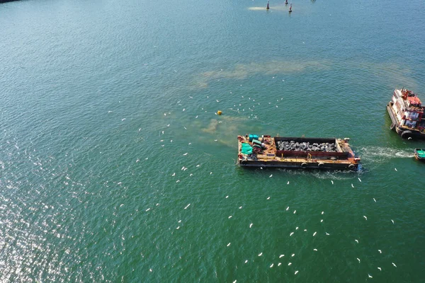 Février 2022 Groupe Aigrettes Blanches Volent Après Bateau Près Sha — Photo