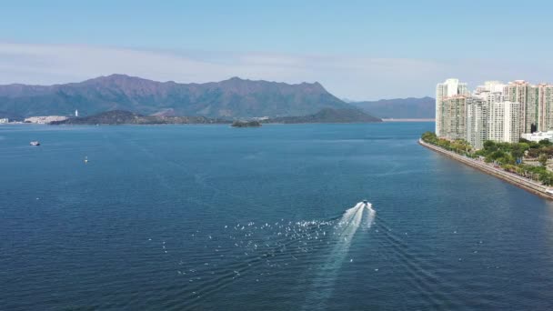 Februar 2022 Fliegt Eine Gruppe Silberreiher Einem Boot Der Nähe — Stockvideo