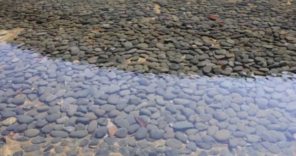Feb 2022 Wasser Das Schnell Auf Den Felsen Eines Flusses — Stockvideo